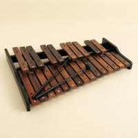 25-Note Xylophone Portable Wooden Xylophone Clear Glockenspiel with Wooden Mallets for Teachers, Music Lessons