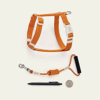 Kitten Harness and Cat Leash Set, Polyester Travel Harness with Buckle, 150cm Kitten Leash for Outdoor Cat Pet Walking