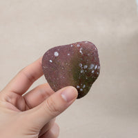 5 Pieces Fake Rock Hollow Faux Rock Realistic Garden Stone for Planter