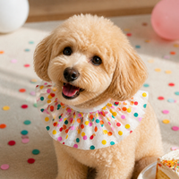 Pet Birthday Bandana and Hat Set for Small to Medium Dogs
