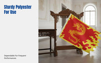 Performance Flag, Dragon Dance Banner, Polyester Martial Arts Prop, School Stage Decor