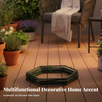 18 Pieces Hexagonal Plant Trellis Sturdy-Duty Hexagon Wall Trellis Metal Climber Climbing Frame DIY Undertaking Geometric Plant