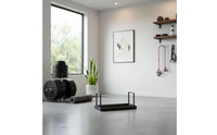 Fitness Disc Storage Stand Space-Saving Plate Rack Powder-Coated Finish Fitness Equipment for Garage
