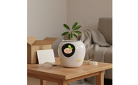 Stress Relief Emotional Companion Pot AI Smart Talking Flower Pot Cute Face Display Automatic Watering Planter Digital Gift for Office, Desktop