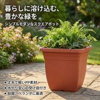 Planter, Indoor, Houseplant Pot, Square, Deep Space Gray, Plastic, With Drainage Holes, Saucer Set