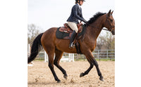 Horse Saddle Pad Breathable Contoured Saddle Pad Padded Tack for Riders