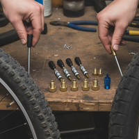Bicycle Presta to Schrader Valve Adapter Kit with Dust Caps
