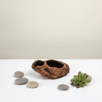 Faux Wood Tree Root Pot Lifelike Texture Rustic Tree Root Pot Rustic Driftwood Planter Indoor Outdoor Use for Office