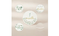 13 Pieces Monthly Developmental Discs Baby Developmental Discs Botanical