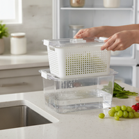 Japanese-Style Double-Layer Draining Storage Box for Refrigerator, Vegetable and Fruit Crisper