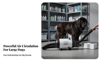 Low Noise High Velocity Pet Dryer Quick Dry Dog Hair Force Dryer Adjustable Heat Setting Heated Grooming Blower Stepless Speed Control for Large Dogs