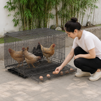 chicken coop