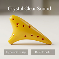 12 Hole Alto with Music and Lanyard, Musical Instrument Gift Box for Beginners, Easy to Play Ocarina for Music Education