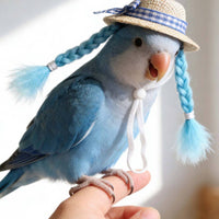 Small Pet Hat Bead Accent Plaid Ribbon Straw Hat Handmade-Inspired for Birds