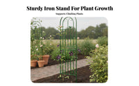 Large Metal Garden Trellis 120cm x 50cm, Sturdy Iron Plant Support for Climbing Plants, Outdoor Decorative Trellis for Roses & Vines
