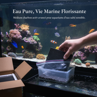 Aquarium Water Purifier Cube Activated Carbon Filter for Fish Tank Odor Removal