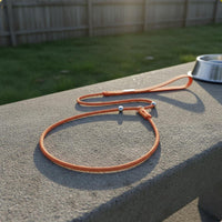 Dog Slip Leash Quick Slip-Control Leash Pet Accessory for Training