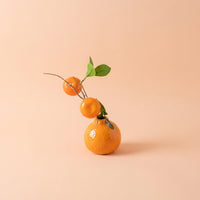 Home Decoration Ceramic Vase for Flowers with Creative Fruit Shape Design, Small for Living Room Decor and Desktop Display