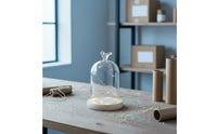 Dustproof Display Cover DIY Gift Glass Dome Display Case Glass Dome with Base Withstands Temperature Differences for Party Decor