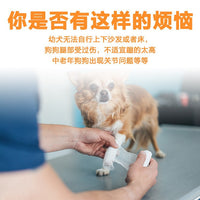 Fabric Pet Stairs for Small Dogs with Sponge Steps