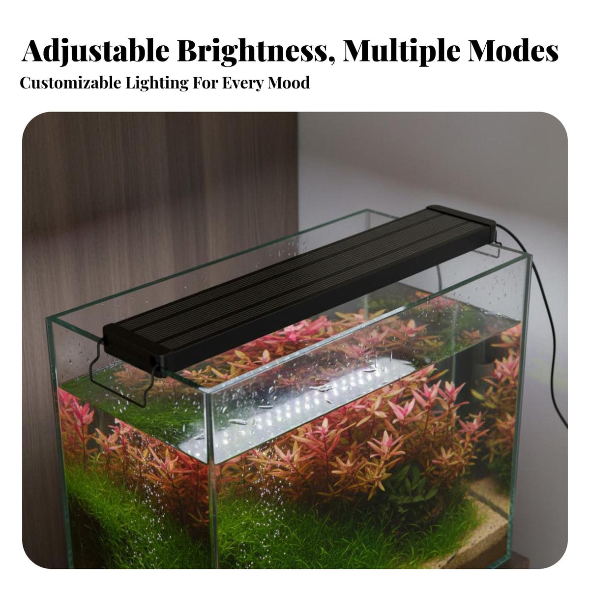 Full Light Profile Planted Tank Light Waterproof RGBW Aquatic Plant Light Dimmable for Aquascapers
