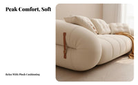 Sofa Bed with Pet House Multi-Functional Pull-expandable Loveseat Bed Foldable Design transformable Couch for Homeowners, Guests, Living Room, Bedroom, Office