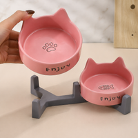 Elevated Ceramic Dog Bowls with Stand, Double Cat Bowls for Neck Strain, Spill-resistant Pet Feeding Station for Digestive Issues