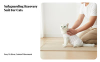 Four-Legged Coverage Cat Recovery Suit E-Collar Substitute Cat Neuter Single Sie Breathable for Weaning, Indoors, Home