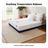 Heated Waterbed Mattress Constant Temperature Versatile-Use Hybrid Bed Thermostatic Heater Full Wave Waterbed Mattress for Couples, Adults, Guesthouse