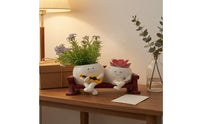 Smiling Faces Rocking Chair Planter Wooden Base Cartoon Plant Pot Set Cute Design Grinning Flower Pot Wood-Grain