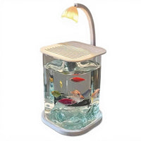 Creative Betta Fish Glass Tank with LED Light, Desktop Decor