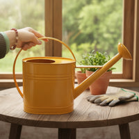 Metal Watering Can with Sprinkler Head Arched Handle Watering Can with Long Spout Stylish Vessel Modern for Gardeners