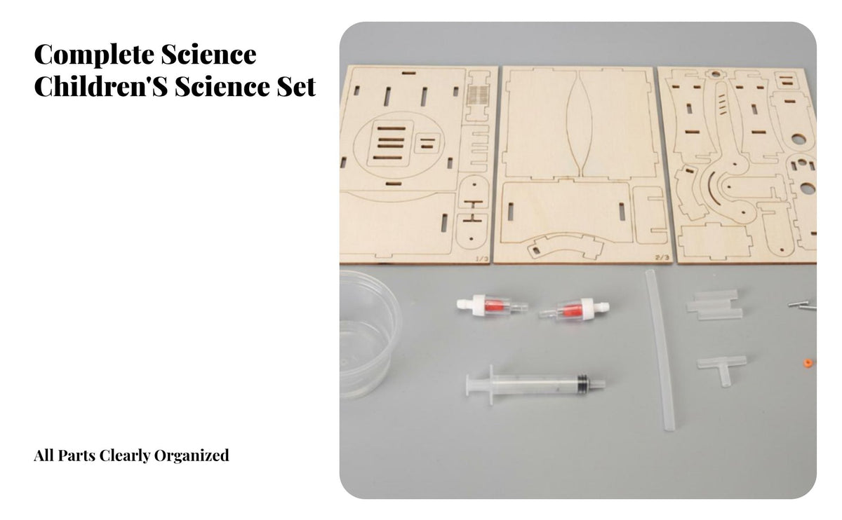 DIY Hand Water Pump Model STEAM Learning Manual Water Pump Assembly Toy Develops Hands-on Skills Wooden Physics Experiment Children's Assembly Set,