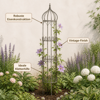 Climbing Plant Trellis, Metal Antique Bronze, Garden Trellis for Inserting for Flowering Plants, Clematis, Tomatoes, Ivy