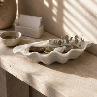 Shell Tray Shallow Home Decor Decorative