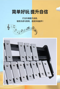 32-Note Aluminum Metallophone for Children, Early Education Percussion Instrument