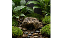 Hide Cave Resin Aquarium Cave Natural for Aquatic Creatures
