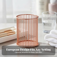 Pen Holder Wrought Iron Engineered Metal Wire Pencil Cup Multi-Functional Wire Makeup Brush Holder for Office, Dorm Room