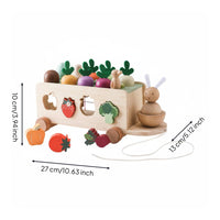Early Learning Rabbit Carrot Toy Car Movement Skill Development Montessori Rabbit Toy Gender-Neutral Wooden Bunny Car Storage Design for Toddlers