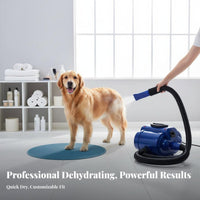Twin Motor Pet Blower Fast Dehydrating High Airspeed Dog Dryer With Heater Heavy Duty Pet Grooming Dryer