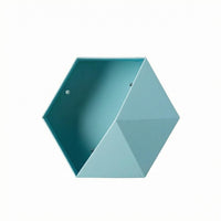 Faceted Hexagonal Wall Shelf Deep Cavity Hexagon Wall Shelf Matte Finish