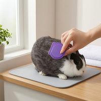 8 Pieces Pet Grooming Kit with Glove Textured Grip Grooming Kit with Massage Glove Fine-Tooth for Small Animals, Coat Care