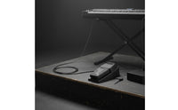 Polarity Switch Sustain Pedal Non-Slip Design Damper Pedal Heavy-Duty 1.6m Extended Cable for Pianists, Home Practice, Stage Performance, Studio Recording