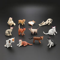 12 Pieces Collectible Cat Figurines Assorted Miniature Cat Figures Tiny Miniatures Painted for Crafters, Desk Decor