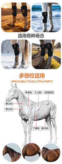 Equine Infrared Therapy Lamp for Knee and Joint Recovery