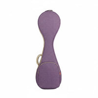 Pipa Case Portable Padded Pipa Bag Anti-Wear Feet Chinese Lute Bag for Storage