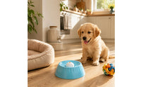 Slow Feeder Bowl Wide Slow Feeder Dog Bowl Interactive for Fast Eaters, Cats, Indoor, Outdoor