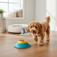 Feline Licking Bowl Wholesale Dog Licking Bowl Mental Stimulation for Dogs, Cats