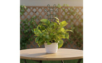 5 Pieces Vertical Growth Climbing Plant Support Frame Easy to Install Flower Trellis Stake Sturdy Metal Plant Trellis Rust-Resistant for Flower Pot