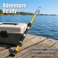 fishing rod set